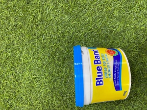 Beurre Blue Band - 450G