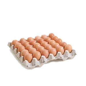 Demi-Alveole 15 Oeufs frais