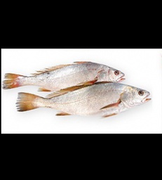 [STLALTGE-VIPFIS-0017] Poisson Bar corvinas- 1kg